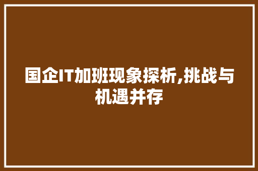 国企IT加班现象探析,挑战与机遇并存