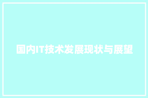 国内IT技术发展现状与展望