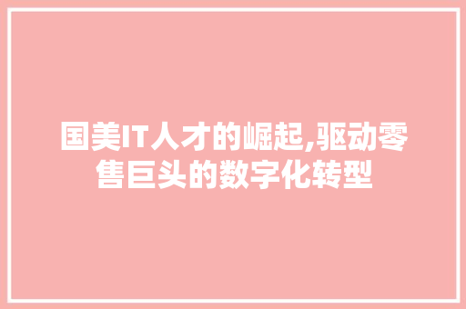 国美IT人才的崛起,驱动零售巨头的数字化转型