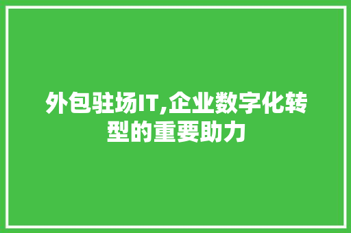 外包驻场IT,企业数字化转型的重要助力