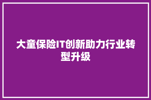 大童保险IT创新助力行业转型升级