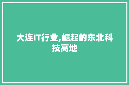 大连IT行业,崛起的东北科技高地