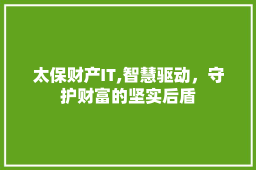 太保财产IT,智慧驱动，守护财富的坚实后盾