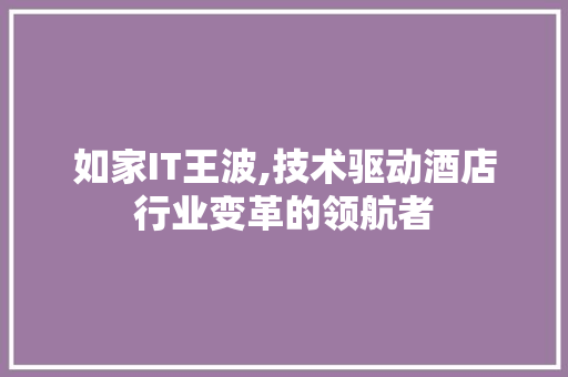 如家IT王波,技术驱动酒店行业变革的领航者