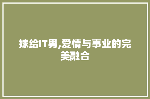 嫁给IT男,爱情与事业的完美融合