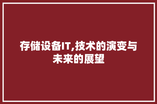 存储设备IT,技术的演变与未来的展望
