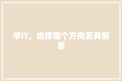 学IT，选择哪个方向更具前景