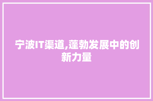 宁波IT渠道,蓬勃发展中的创新力量