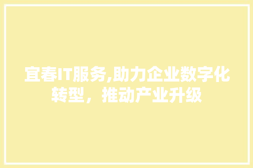 宜春IT服务,助力企业数字化转型，推动产业升级