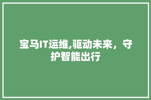 宝马IT运维,驱动未来，守护智能出行
