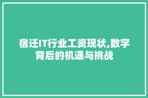 宿迁IT行业工资现状,数字背后的机遇与挑战