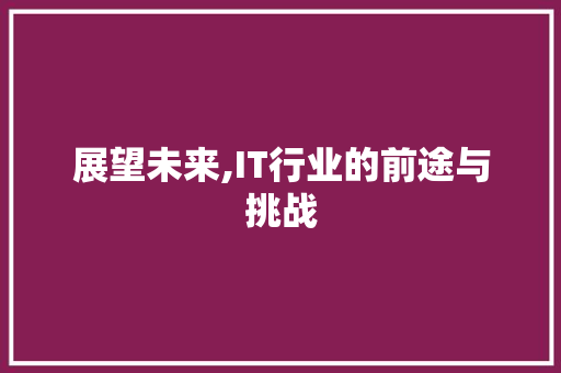 展望未来,IT行业的前途与挑战