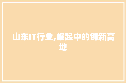 山东IT行业,崛起中的创新高地