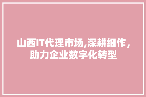 山西IT代理市场,深耕细作，助力企业数字化转型