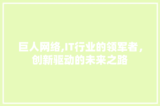 巨人网络,IT行业的领军者，创新驱动的未来之路