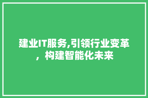 建业IT服务,引领行业变革，构建智能化未来