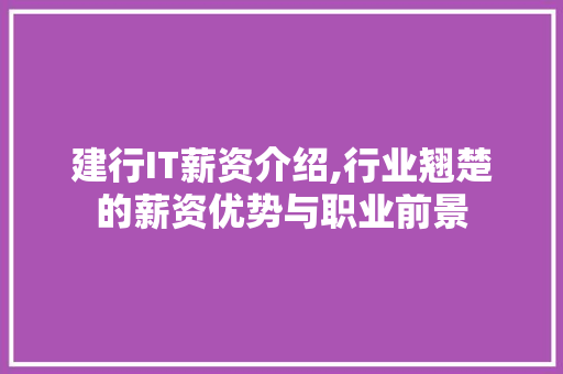 建行IT薪资介绍,行业翘楚的薪资优势与职业前景