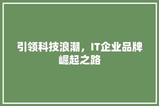 引领科技浪潮，IT企业品牌崛起之路