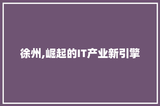 徐州,崛起的IT产业新引擎