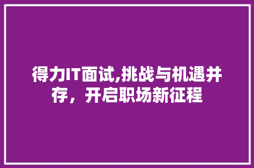 得力IT面试,挑战与机遇并存，开启职场新征程