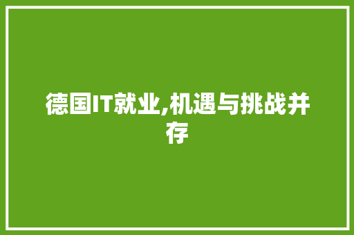 德国IT就业,机遇与挑战并存
