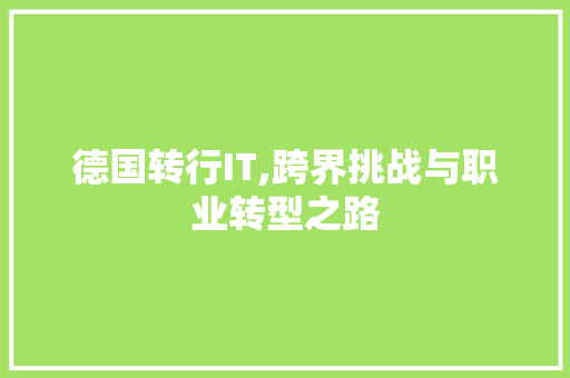 德国转行IT,跨界挑战与职业转型之路