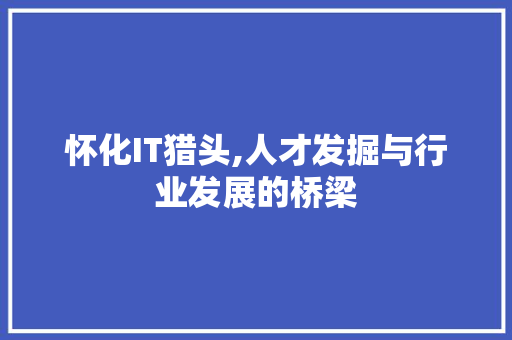 怀化IT猎头,人才发掘与行业发展的桥梁