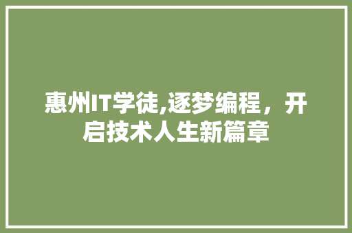 惠州IT学徒,逐梦编程，开启技术人生新篇章