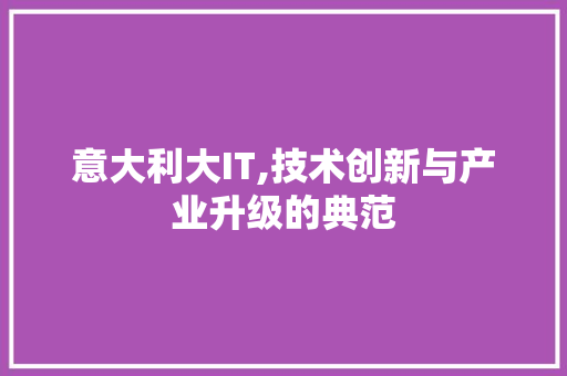 意大利大IT,技术创新与产业升级的典范