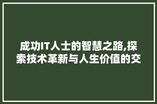 成功IT人士的智慧之路,探索技术革新与人生价值的交融