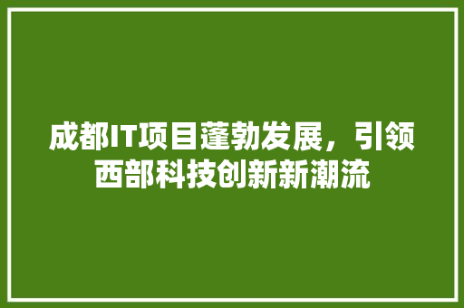 成都IT项目蓬勃发展，引领西部科技创新新潮流