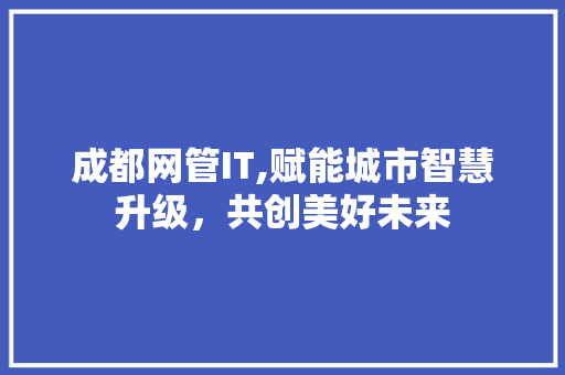 成都网管IT,赋能城市智慧升级，共创美好未来