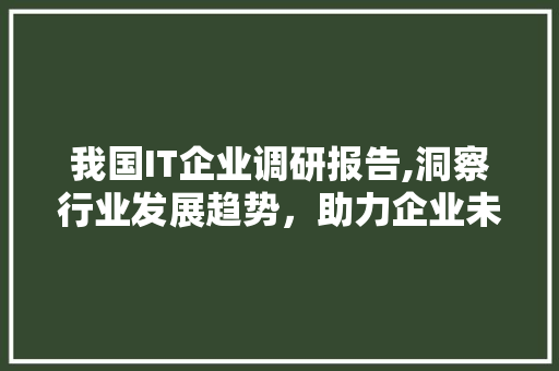 我国IT企业调研报告,洞察行业发展趋势，助力企业未来发展