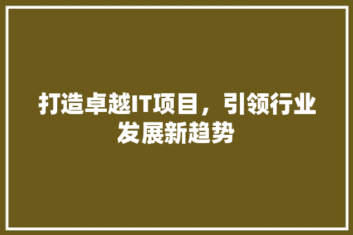 打造卓越IT项目，引领行业发展新趋势
