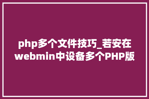 php多个文件技巧_若安在webmin中设备多个PHP版本