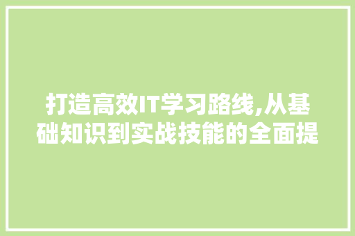 打造高效IT学习路线,从基础知识到实战技能的全面提升