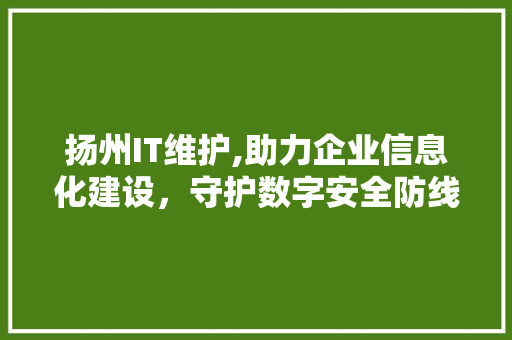 扬州IT维护,助力企业信息化建设，守护数字安全防线
