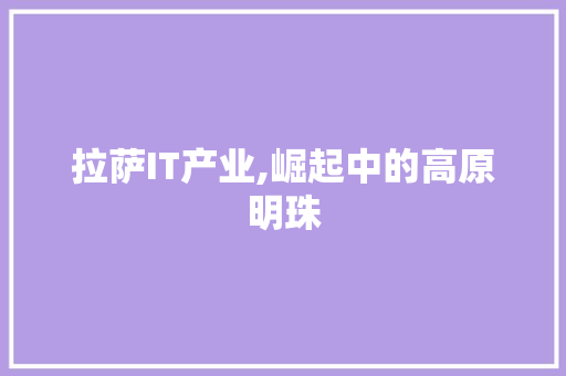 拉萨IT产业,崛起中的高原明珠