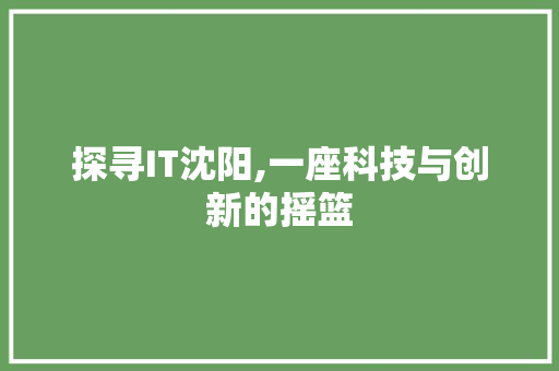 探寻IT沈阳,一座科技与创新的摇篮