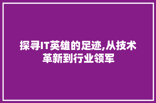 探寻IT英雄的足迹,从技术革新到行业领军