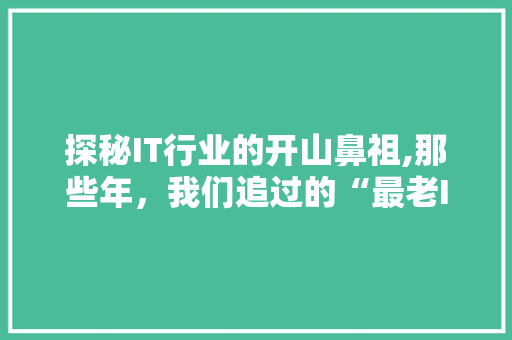 探秘IT行业的开山鼻祖,那些年，我们追过的“最老IT员”