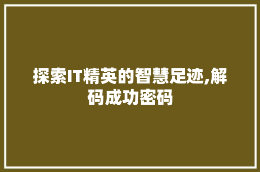 探索IT精英的智慧足迹,解码成功密码