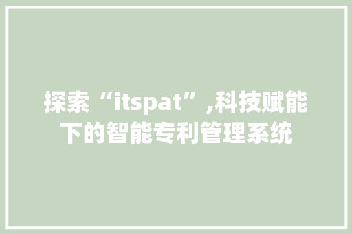 探索“itspat”,科技赋能下的智能专利管理系统