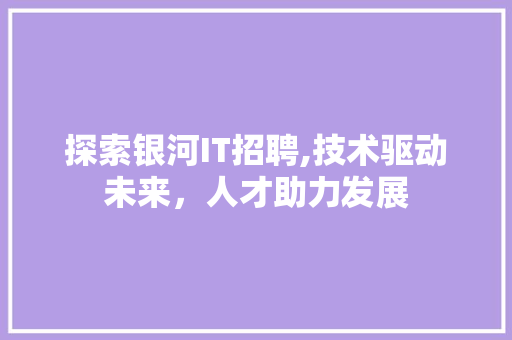 探索银河IT招聘,技术驱动未来，人才助力发展