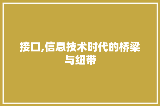 接口,信息技术时代的桥梁与纽带