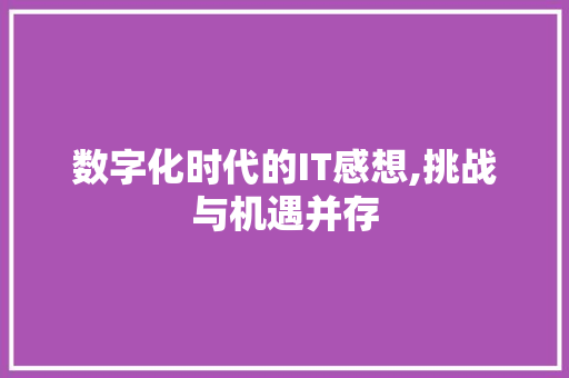 数字化时代的IT感想,挑战与机遇并存