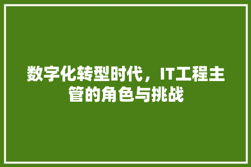 数字化转型时代，IT工程主管的角色与挑战