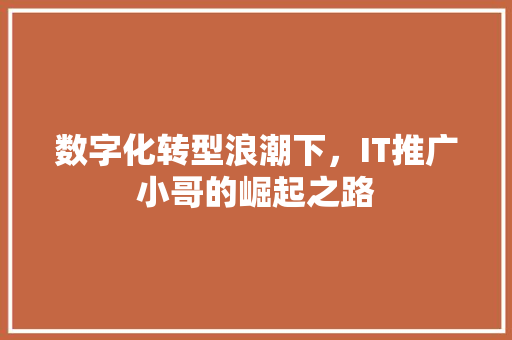 数字化转型浪潮下，IT推广小哥的崛起之路