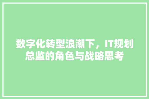 数字化转型浪潮下，IT规划总监的角色与战略思考