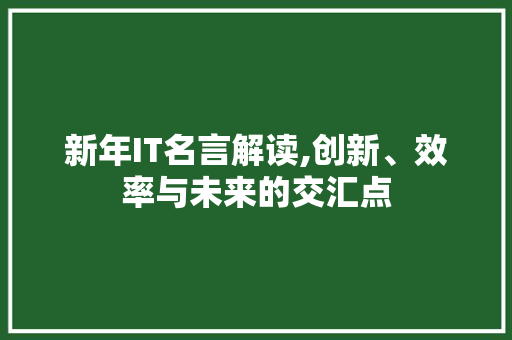新年IT名言解读,创新、效率与未来的交汇点